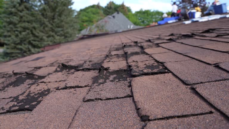 Best Emergency Roof Repair Services  in Wellman, IA