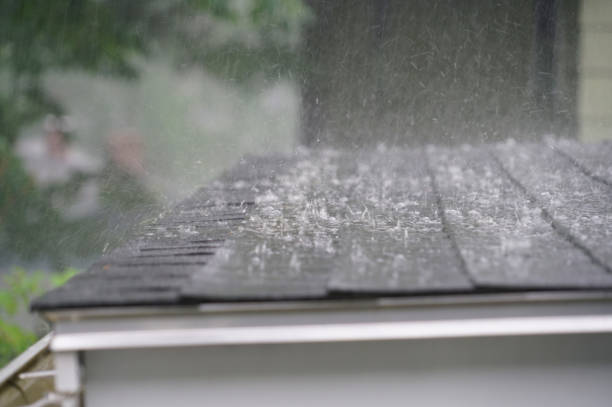 Best Roof Moss and Algae Removal  in Wellman, IA