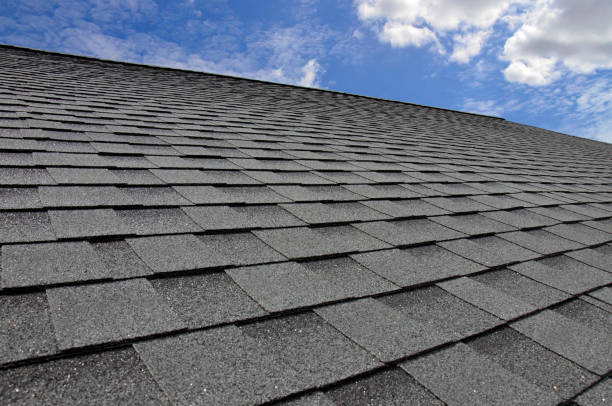 Best Skylight Installation and Repair  in Wellman, IA